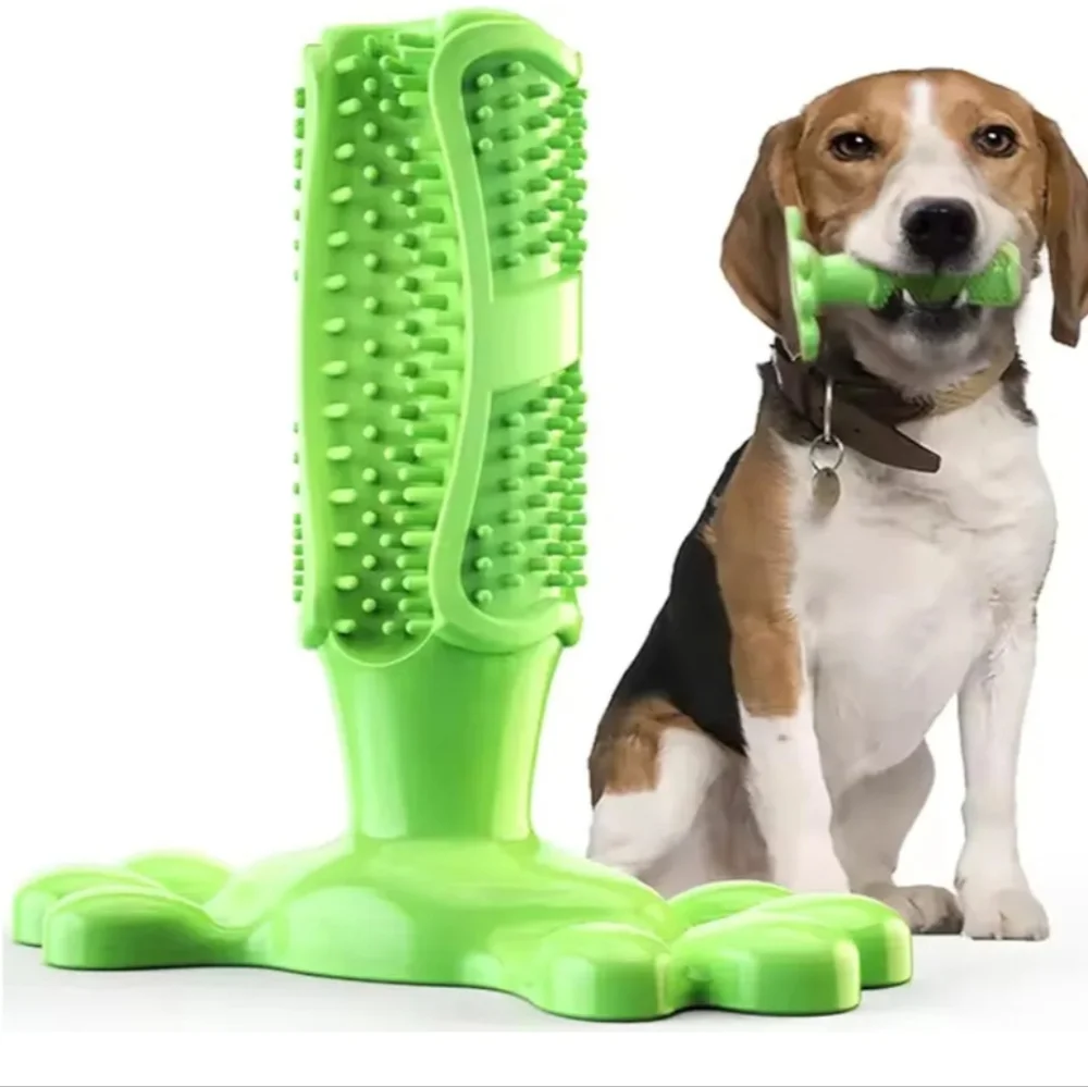 NWT 3 Piece Pet Toy Set